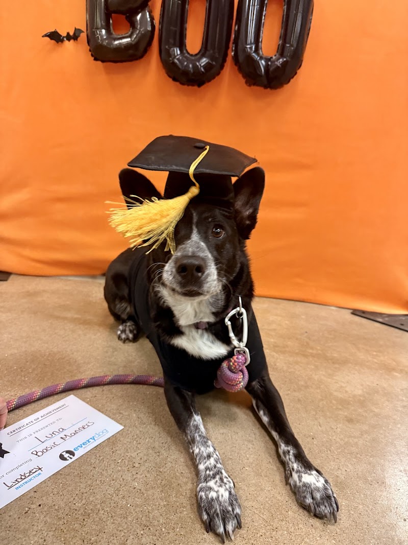 Every Dog Behavior and Training (North) cover image