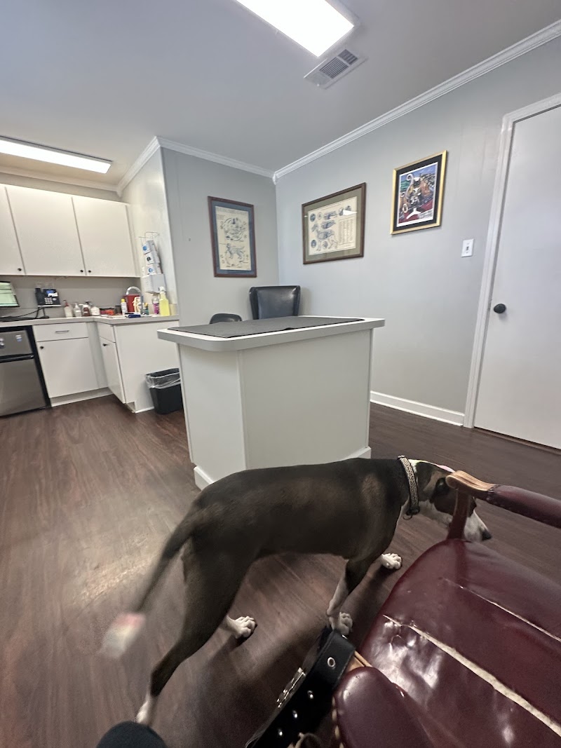 Maple Small Animal Clinic cover