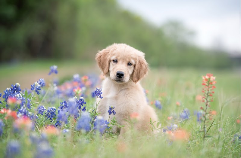 Megan Murray Photography cover image