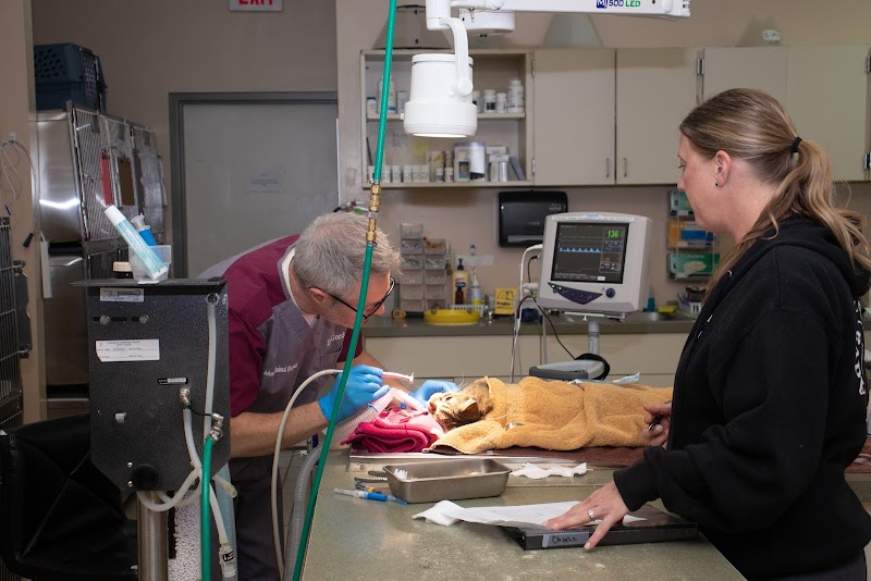 Advanced Animal Hospital - WI cover image