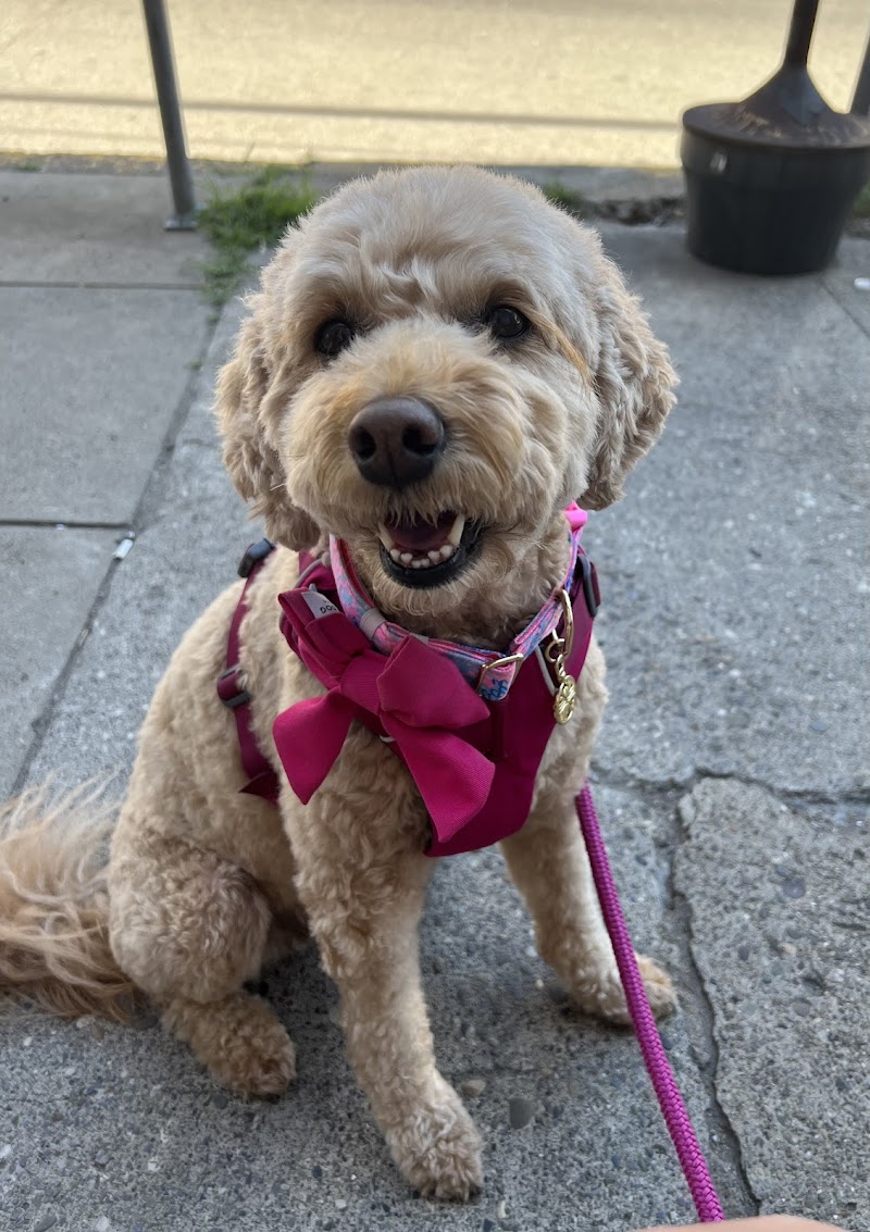 All God's Creatures cover image