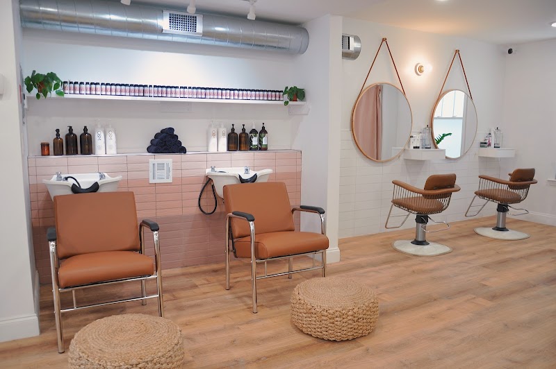 Paloma Salon cover image