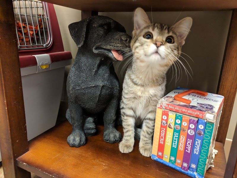 South Ridge Animal Clinic cover