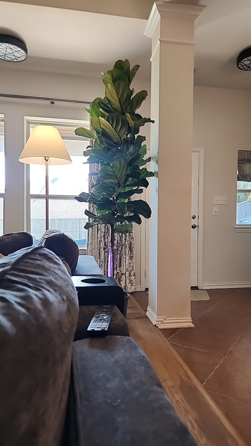 Ruibal's Plants of Texas -Whiterock cover image