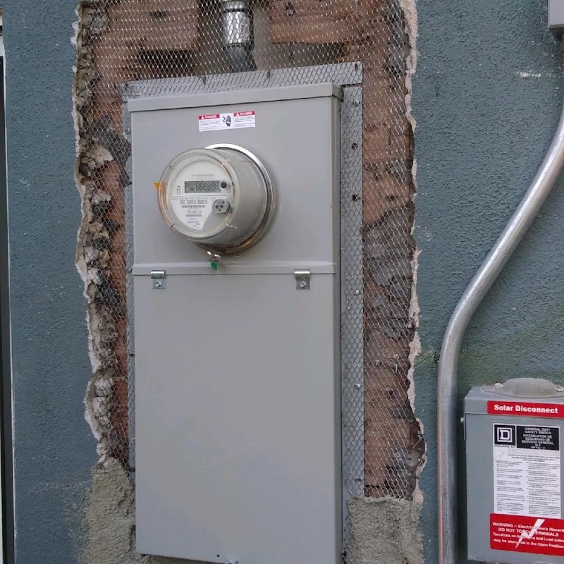 Negrini Painting cover image