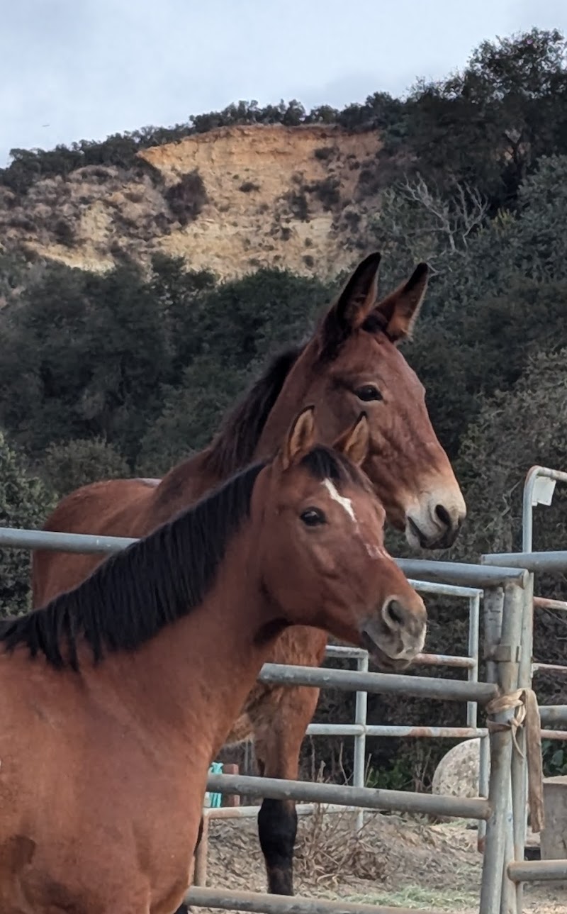 Carmel Creek Ranch cover image