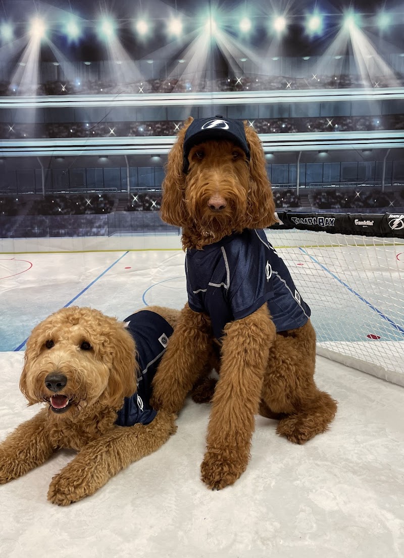 Bayshore Pet Resort cover image