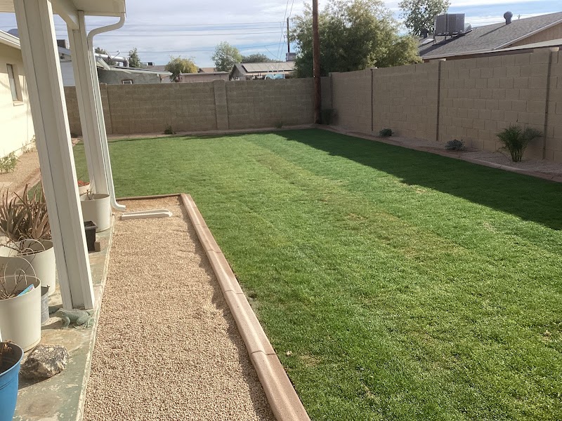 AMS Landscaping cover image