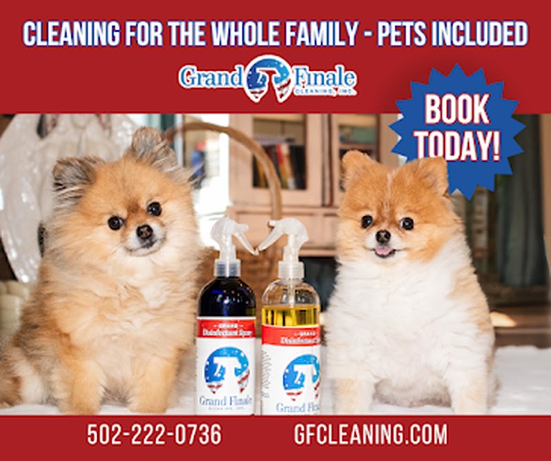 Grand Finale Cleaning cover image