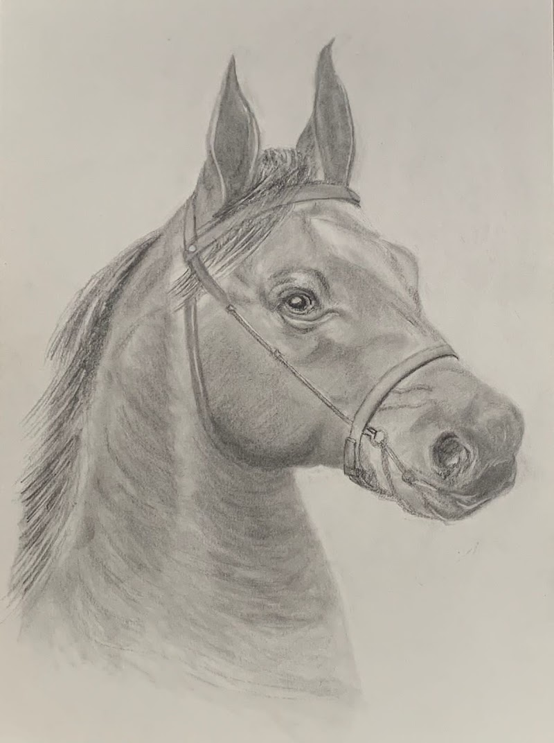 The Drawing Point cover image