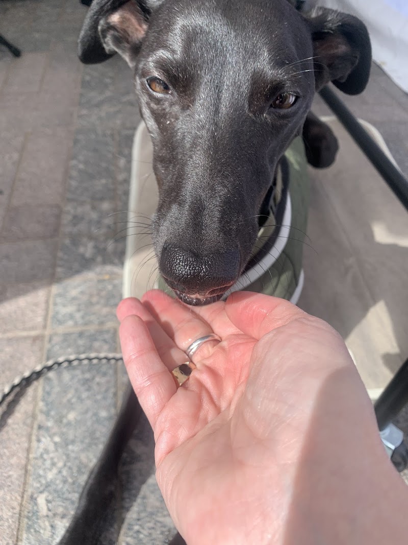 Jack’s Mum Dog Training cover image