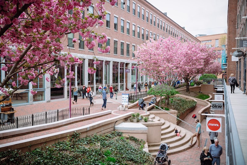 SoWa Art + Design District cover image