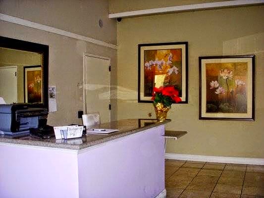 Premier Driving School cover image