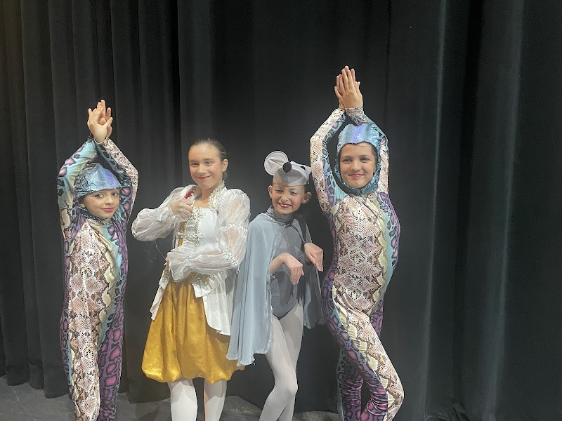 Out On A Limb Dance Co cover image