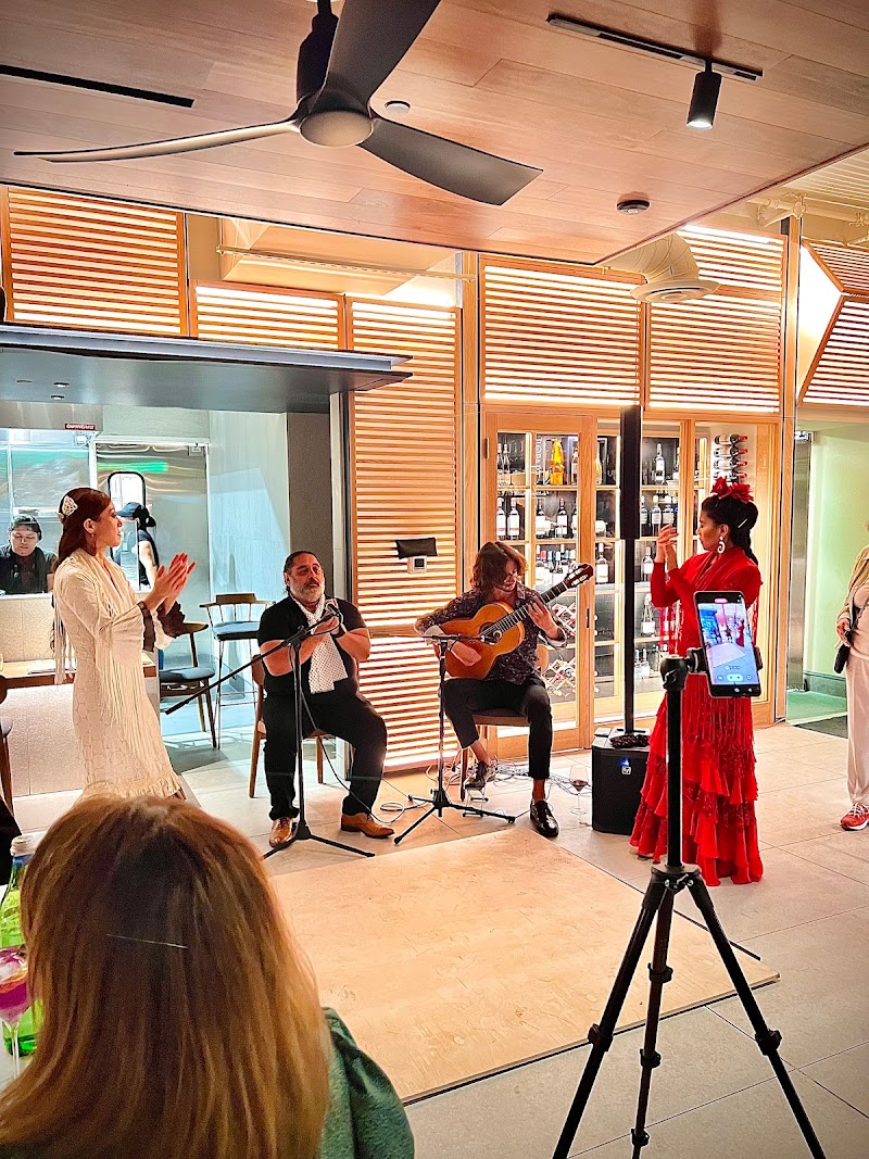 Jesse Torre Guitarist cover image