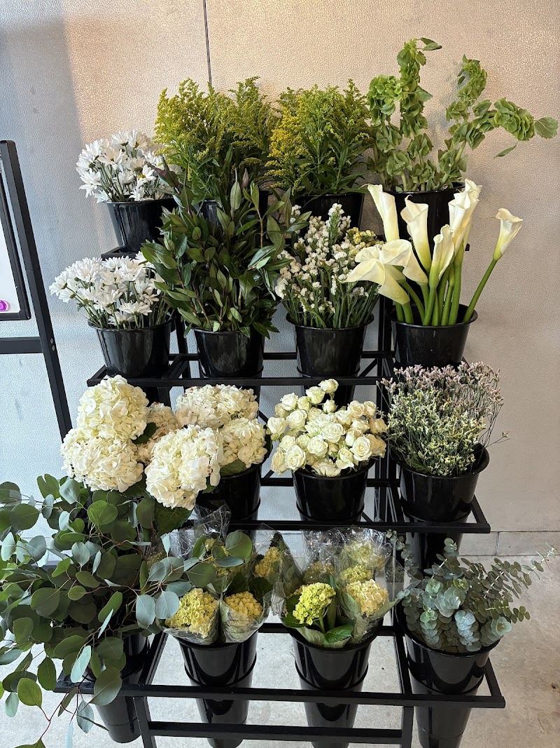 SoBro Flower Co. by 21 Petals cover image