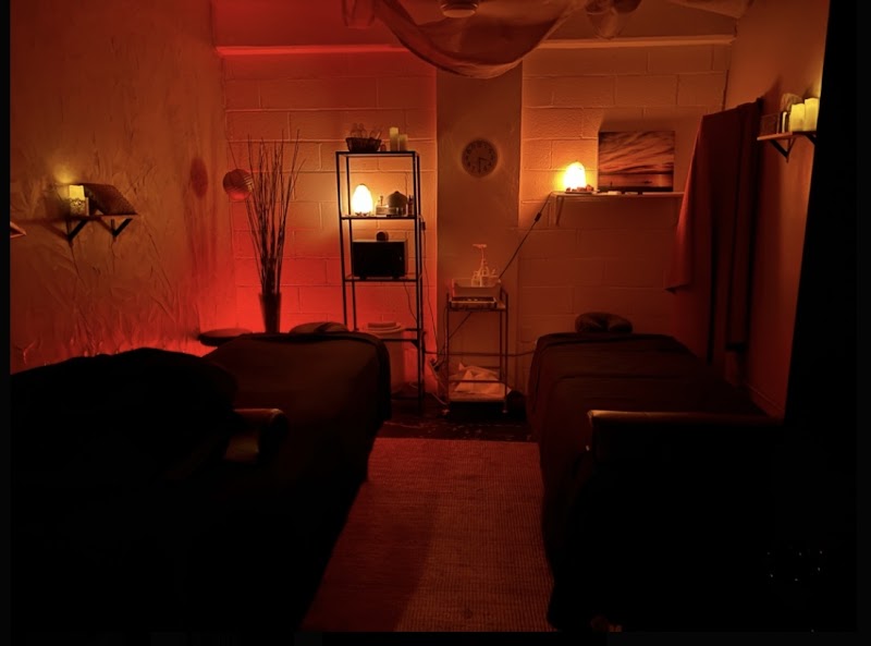 The Body Scrubbery cover image