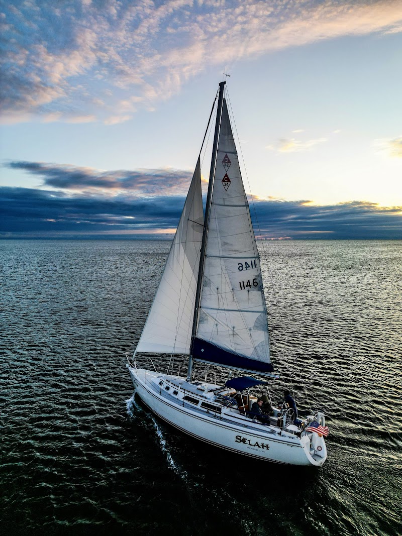 Sea Dog Sailing cover image