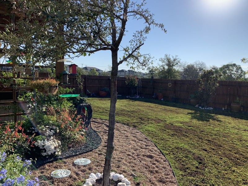 ABC Home & Commercial Services cover image