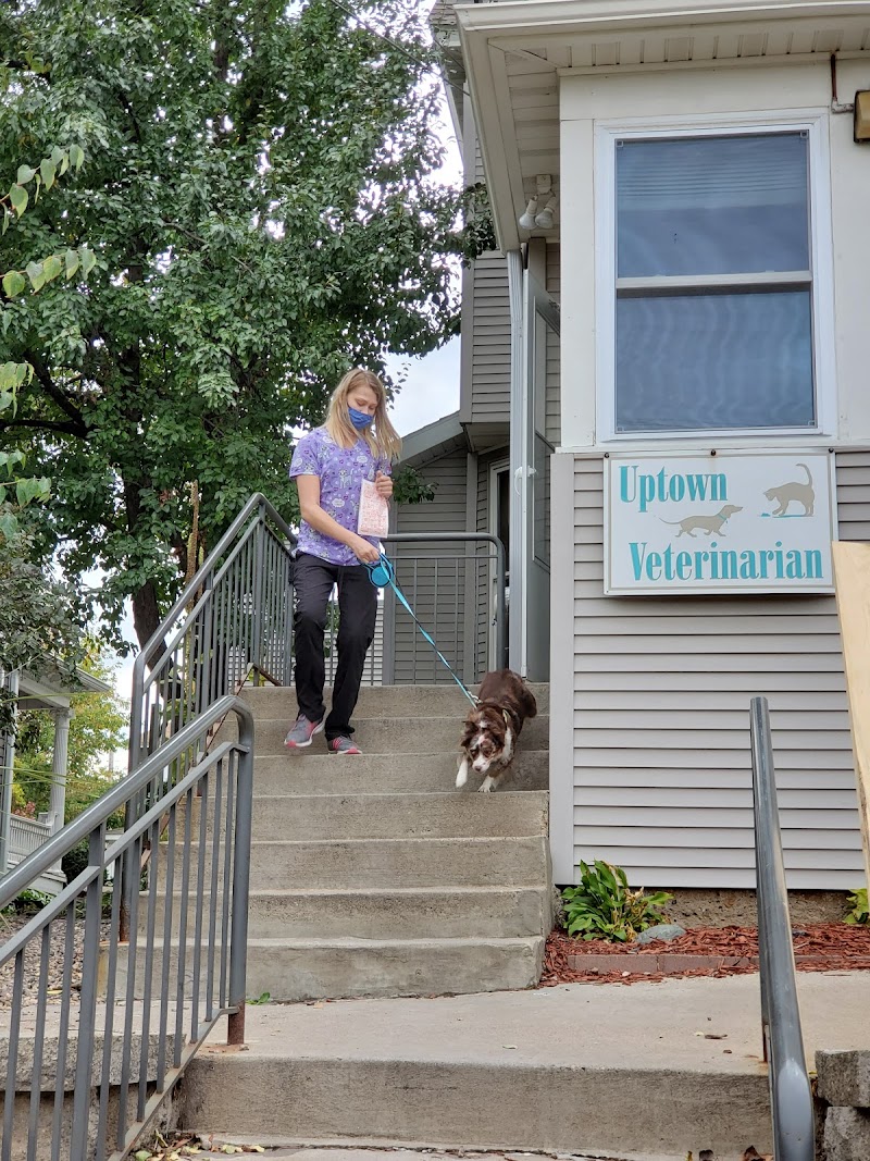 Uptown Veterinarian cover