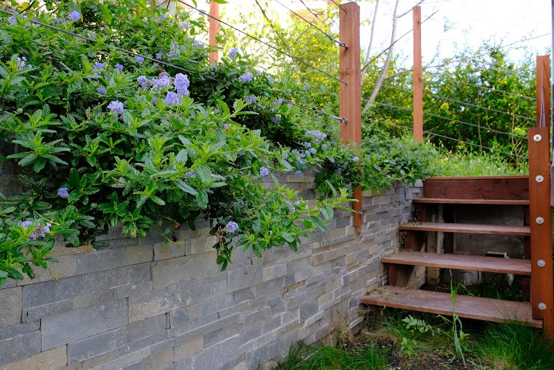 Madroño Landscape Design Studio cover image