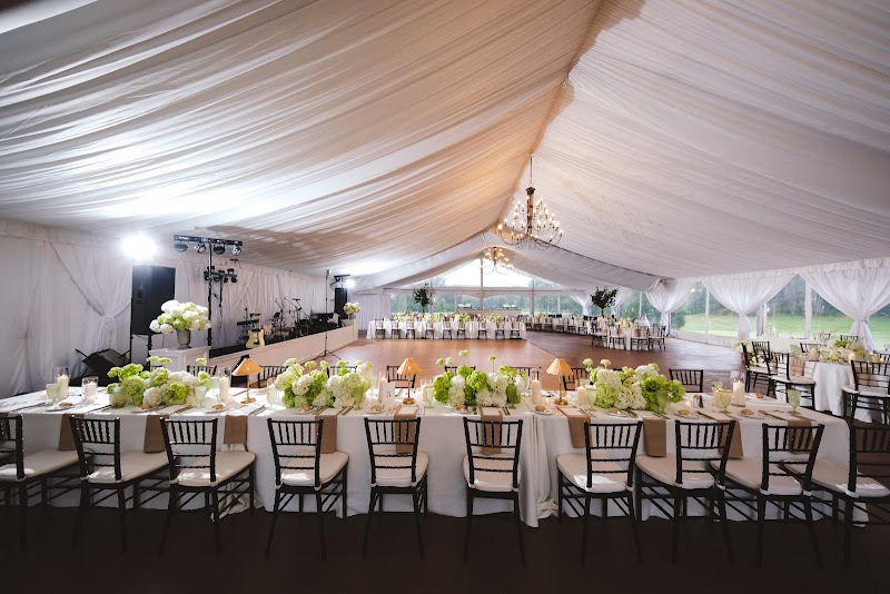 Detroit Chiavari cover image