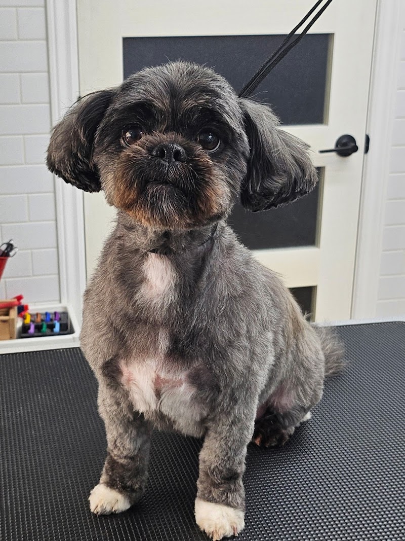 thegroomer.ca cover image