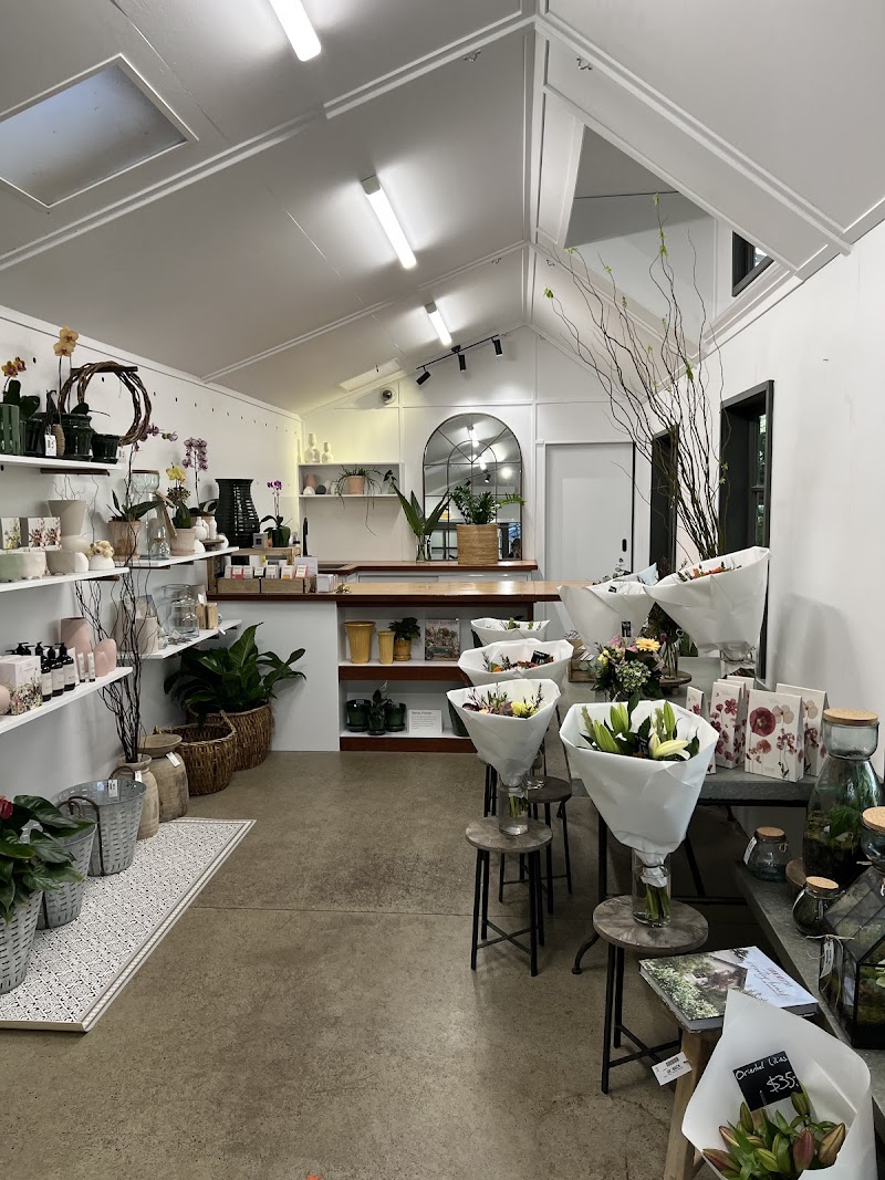 Mister Botanical Floral Design cover image