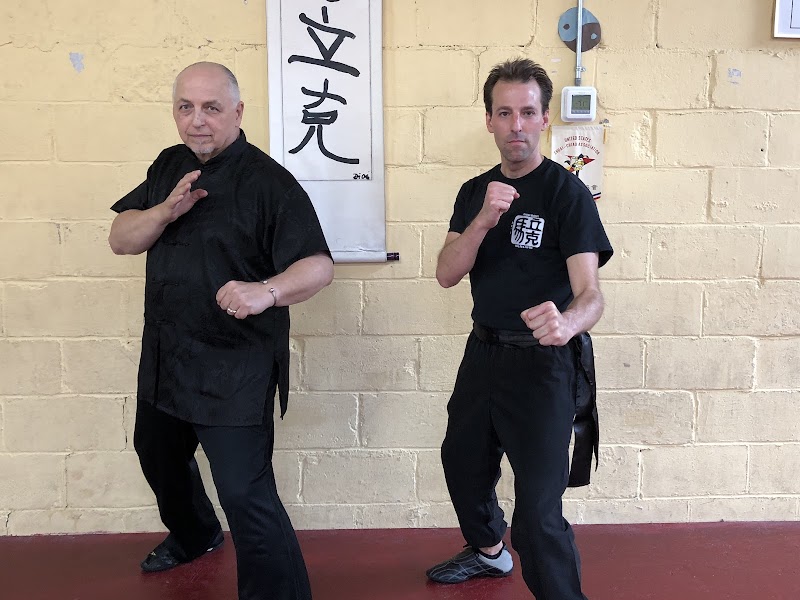 Ho-I Kung-Fu & Tai-Chi cover image