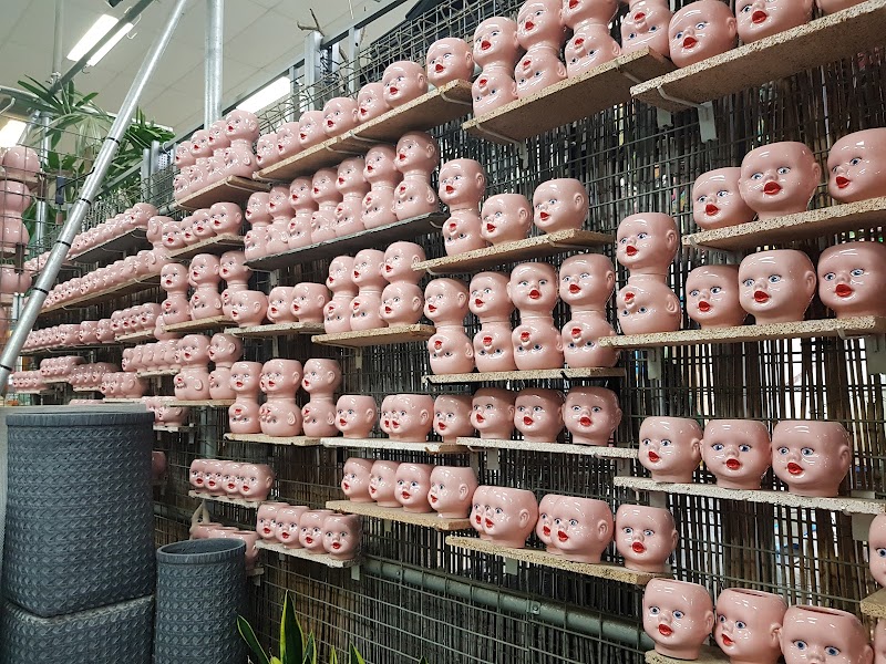 Mappin's Nursery & Aquarium cover image