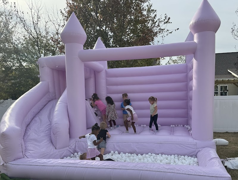 Little Bounce Company cover image