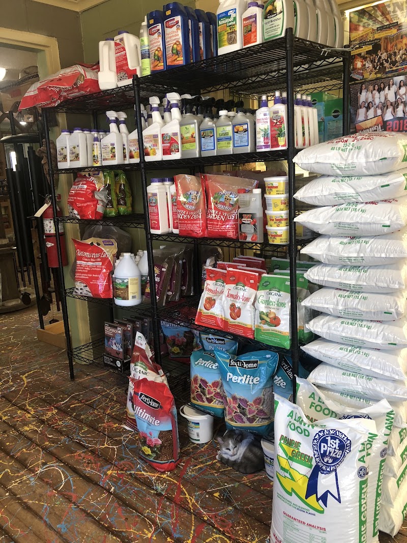 Tom's Tree Place cover image