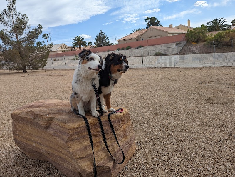 SIN CITY K-9 cover image