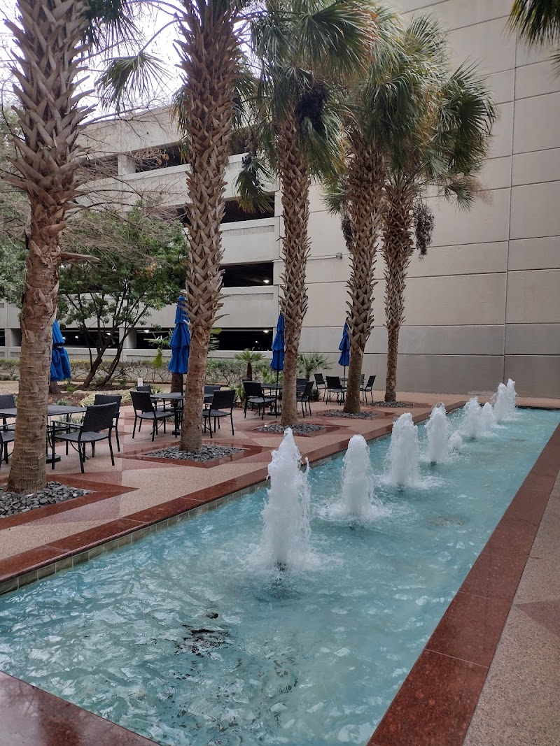 United Language Group cover image