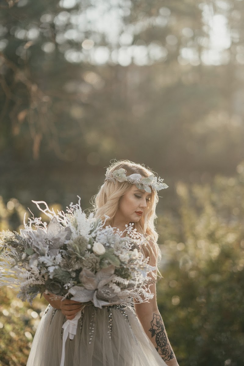 Catherine Holmes Photography cover image