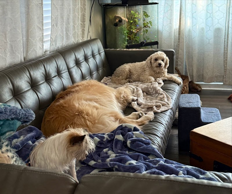 Farley Pet Care cover image