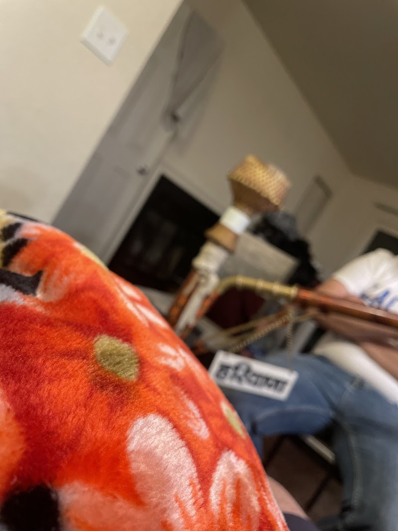 Molly Walks Dogs cover image