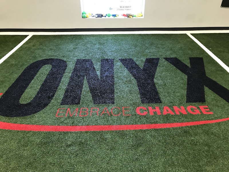 Onyx Elite cover image