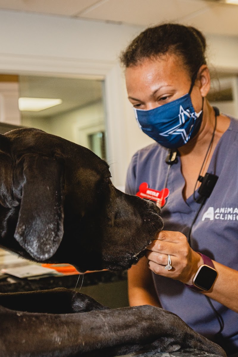 A-Animal Clinic & Boarding Kennel cover image