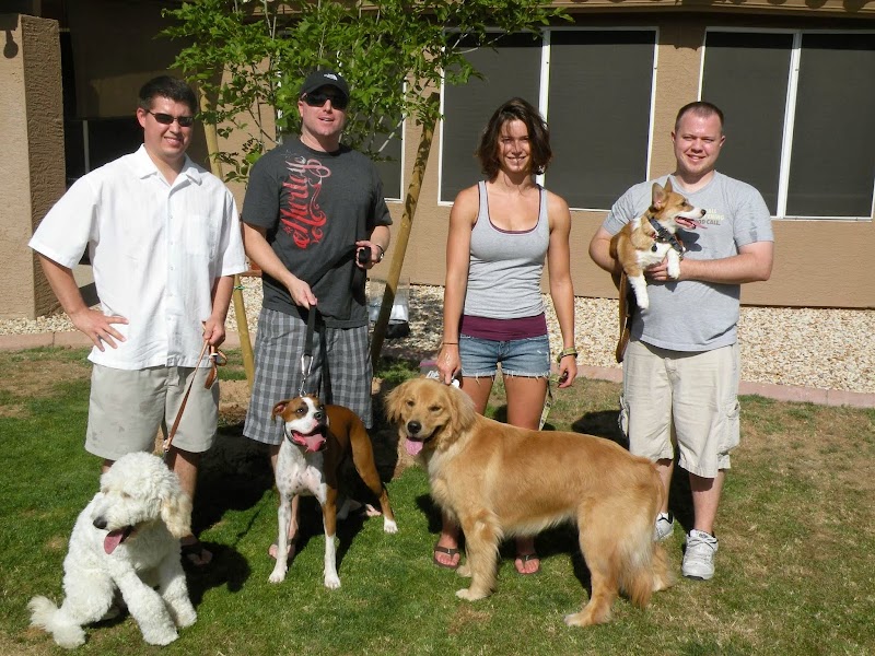 Doggie Steps Dog Training LLC cover image