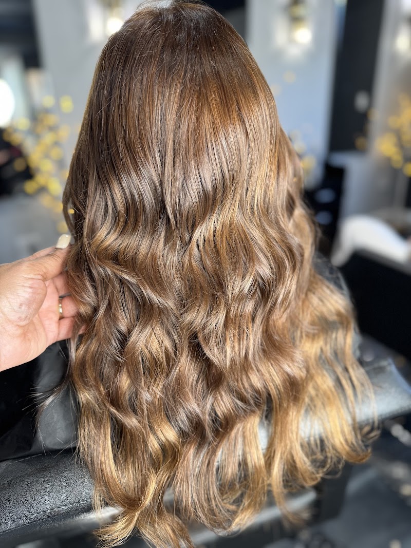 Hair Extension Palace cover image