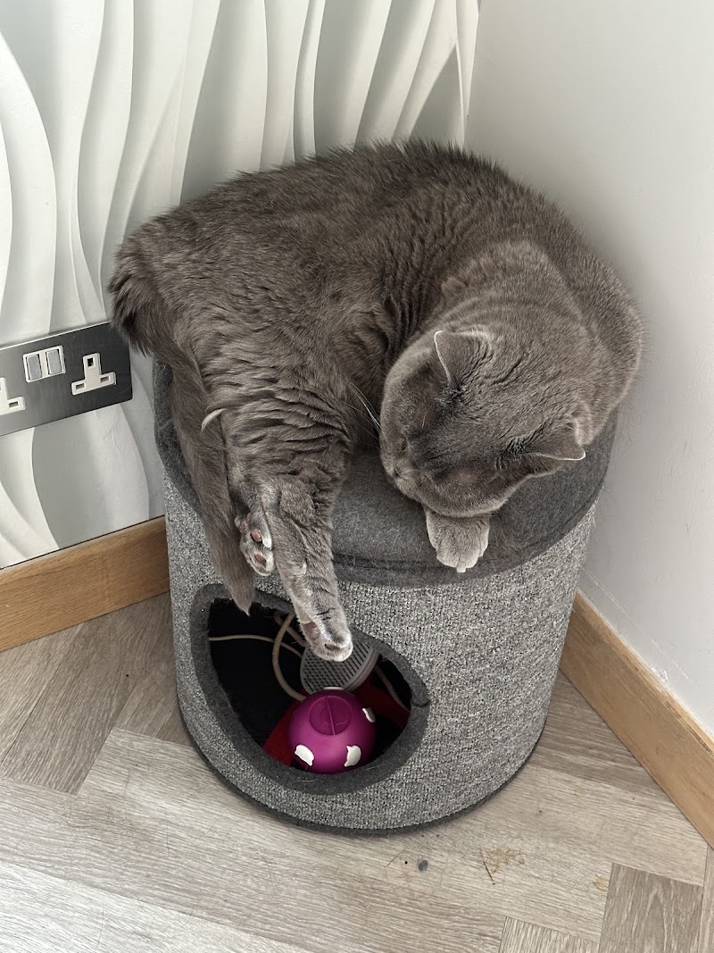 The Feline Care Company cover image