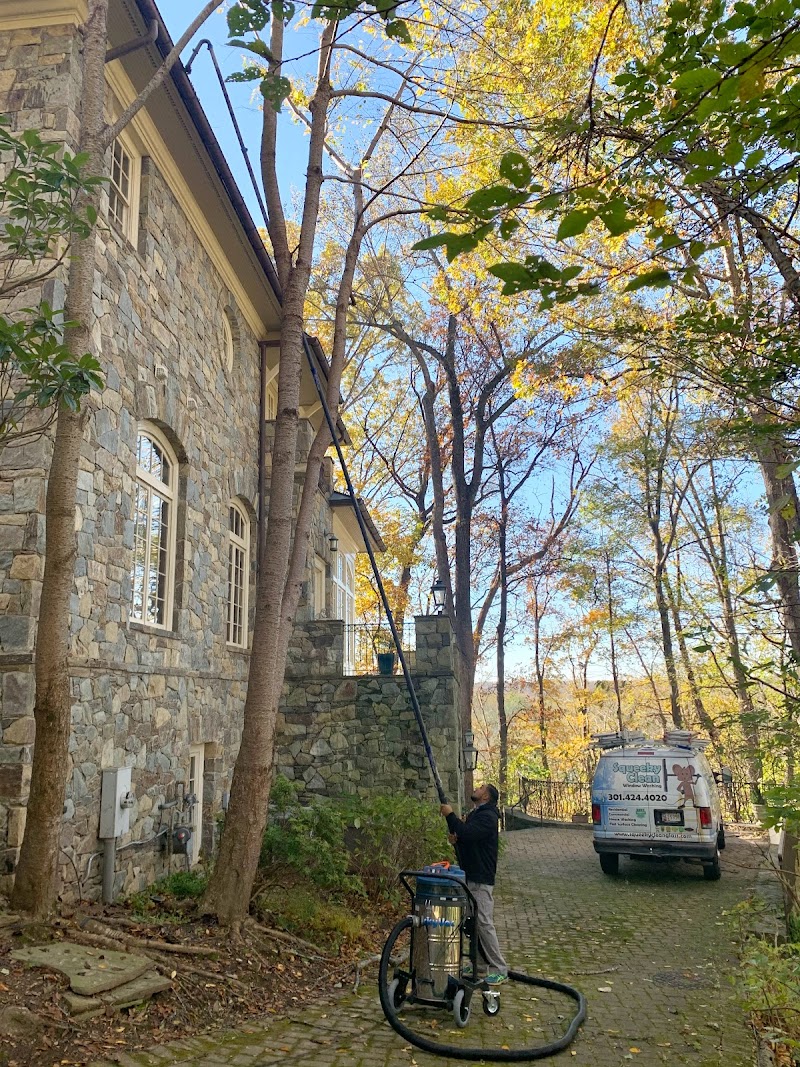 Squeeky Clean Window Washing cover image