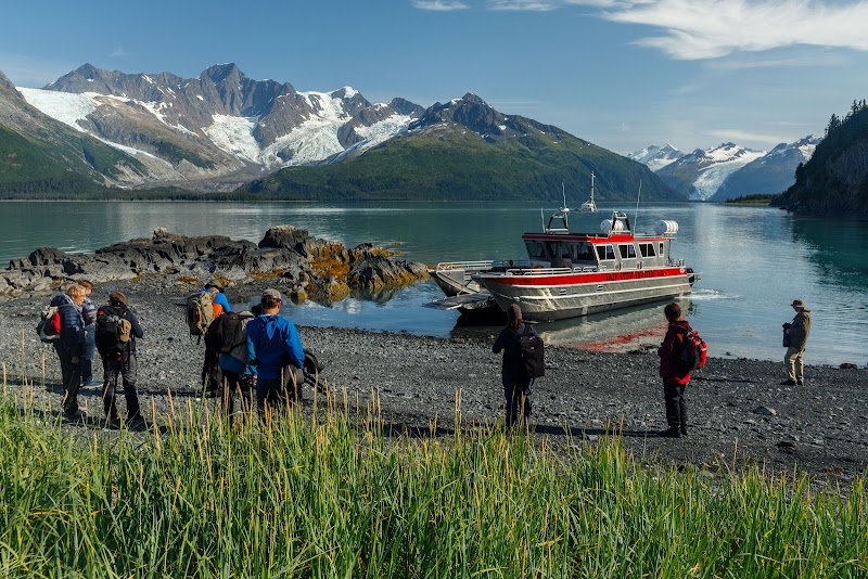 Lazy Otter Charters cover image