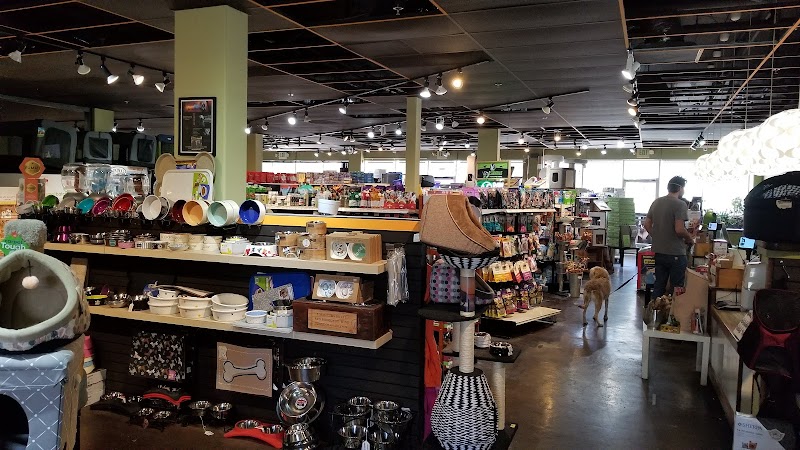 The Urban Pet cover image