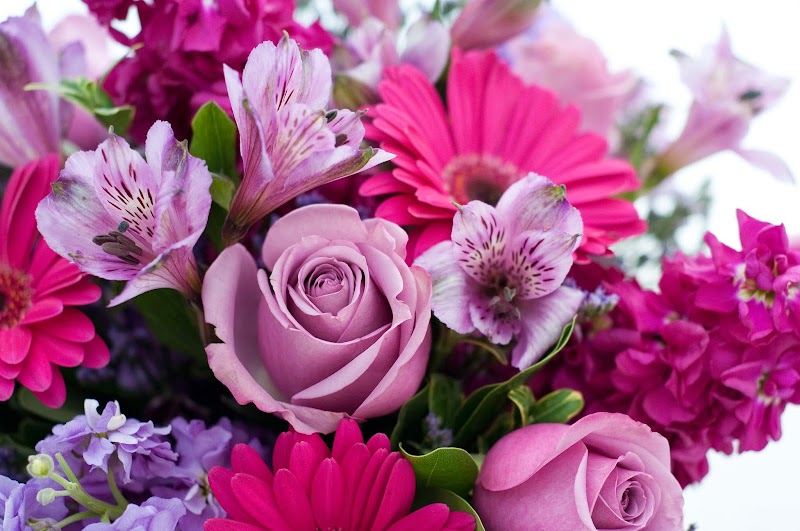 Cactus Flower Florists cover image