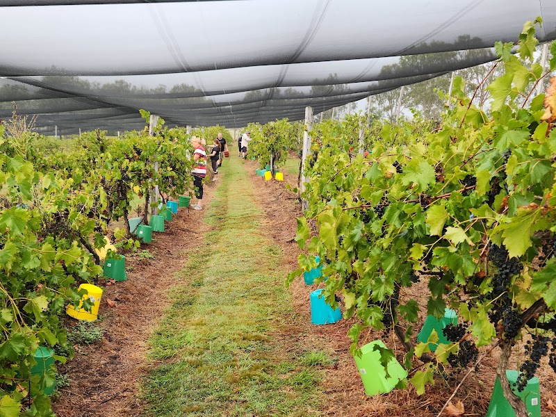 Bunjurgen Estate Vineyard/Cellar Door - Boonah cover image