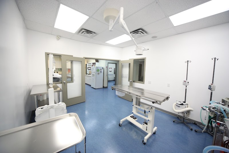 Glenora Family Pet Clinic cover image