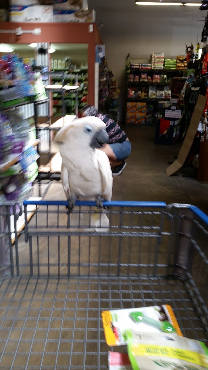 Western Feed & Pet Supply cover image