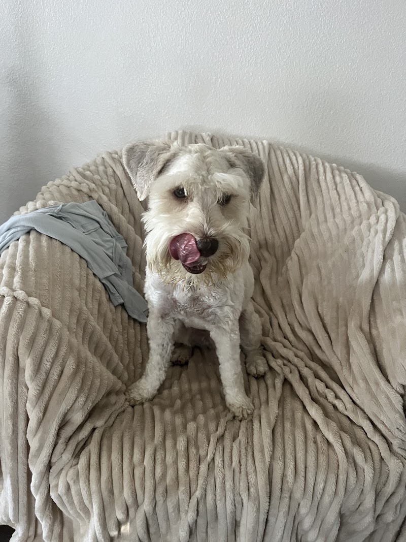 JC Pet Hotel cover image